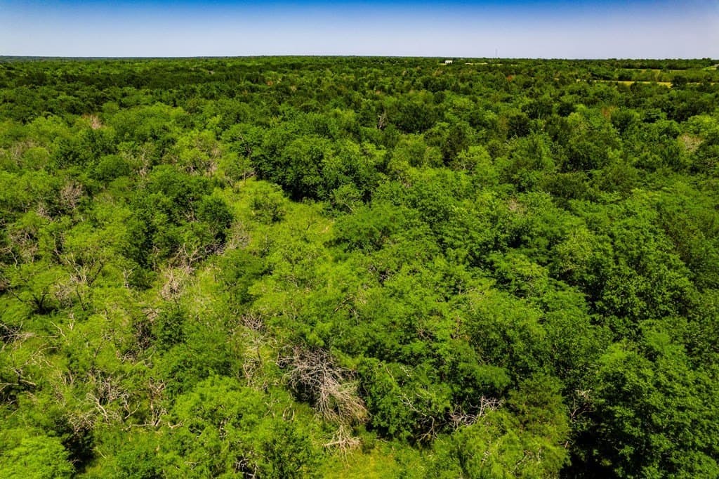 120 acres in Kaufman County - photo 8