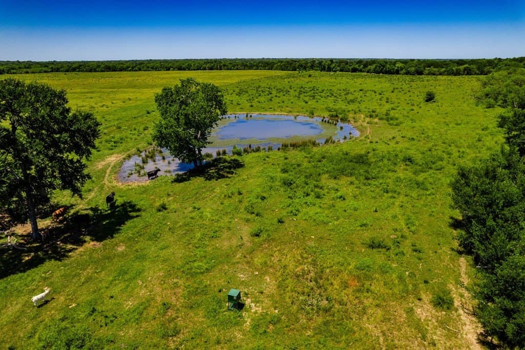 120 acres in Kaufman County - photo 9