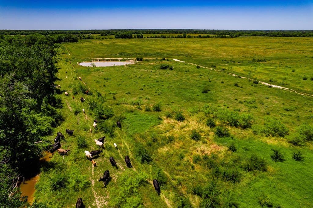 120 acres in Kaufman County - photo 24