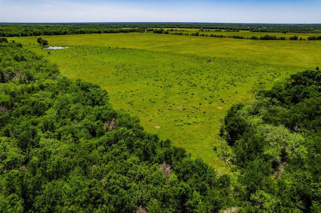 120 acres in Kaufman County - photo 17