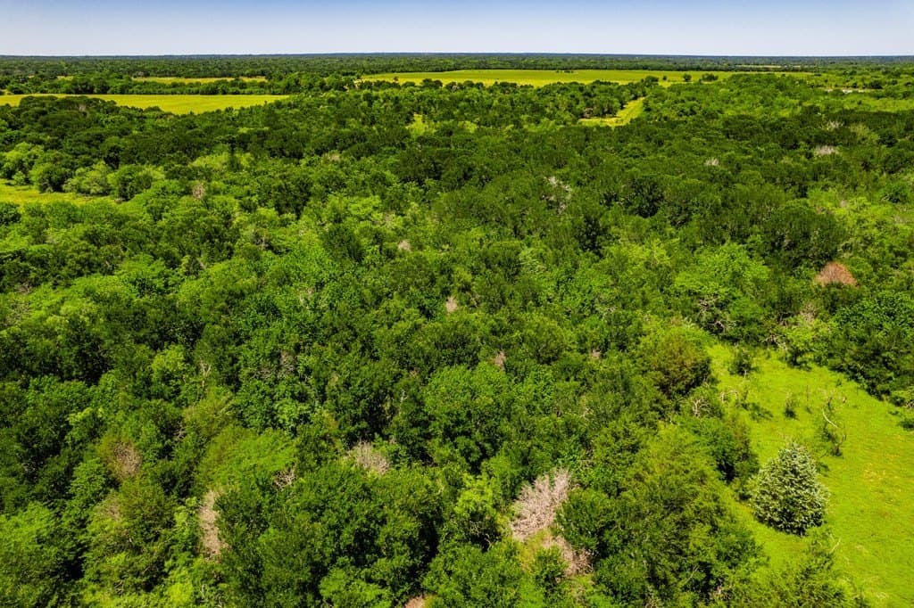 120 acres in Kaufman County - photo 16