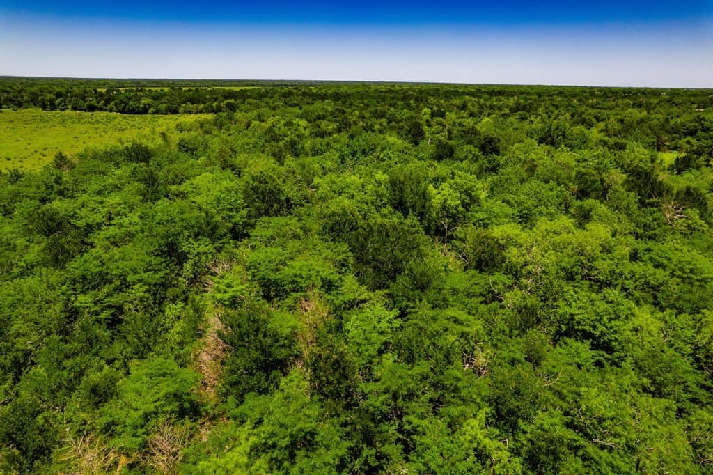 120 acres in Kaufman County - photo 27