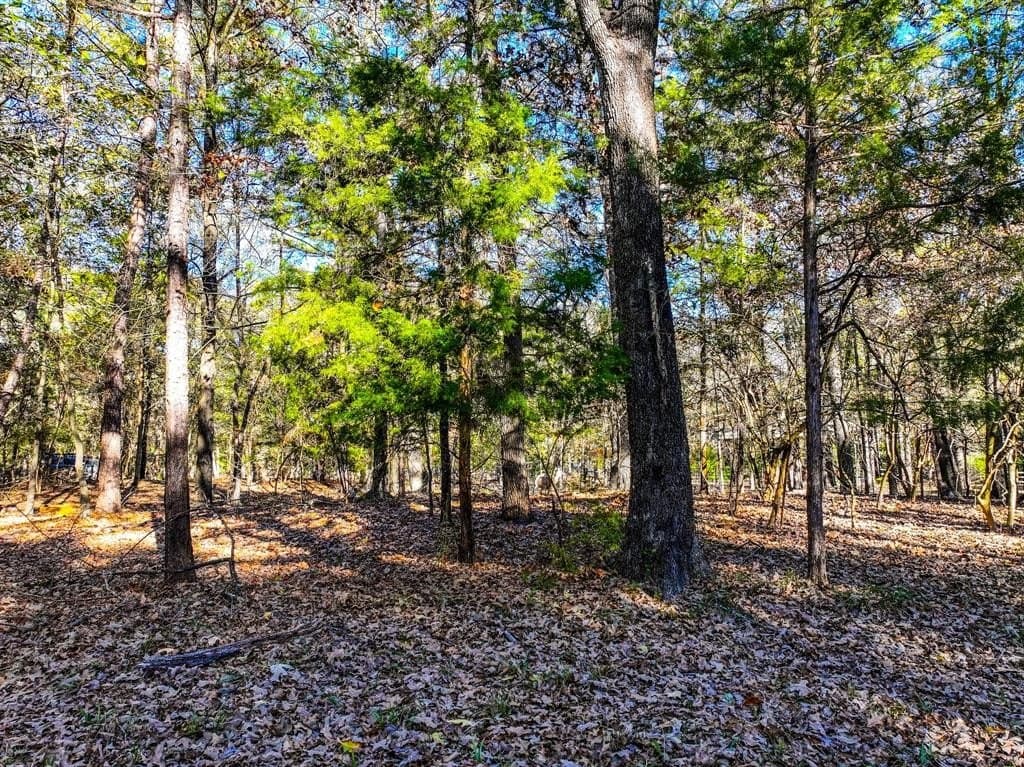 0.21 acres in Franklin County - photo 22