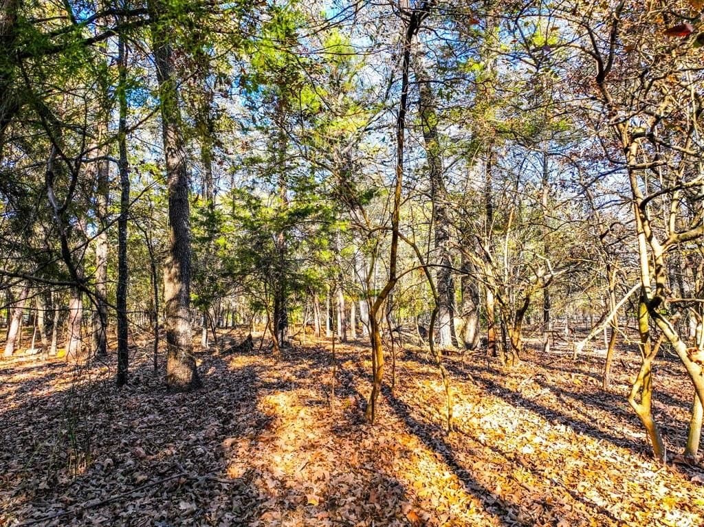 0.21 acres in Franklin County - photo 24