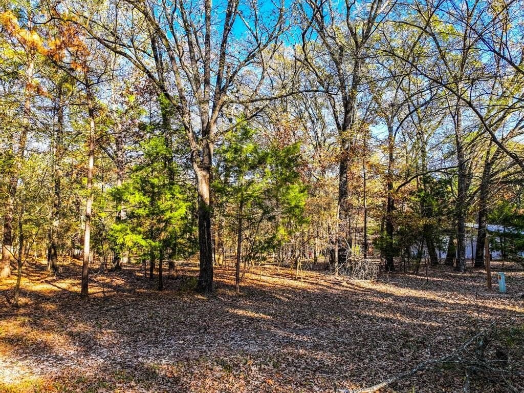 0.21 acres in Franklin County - photo 21