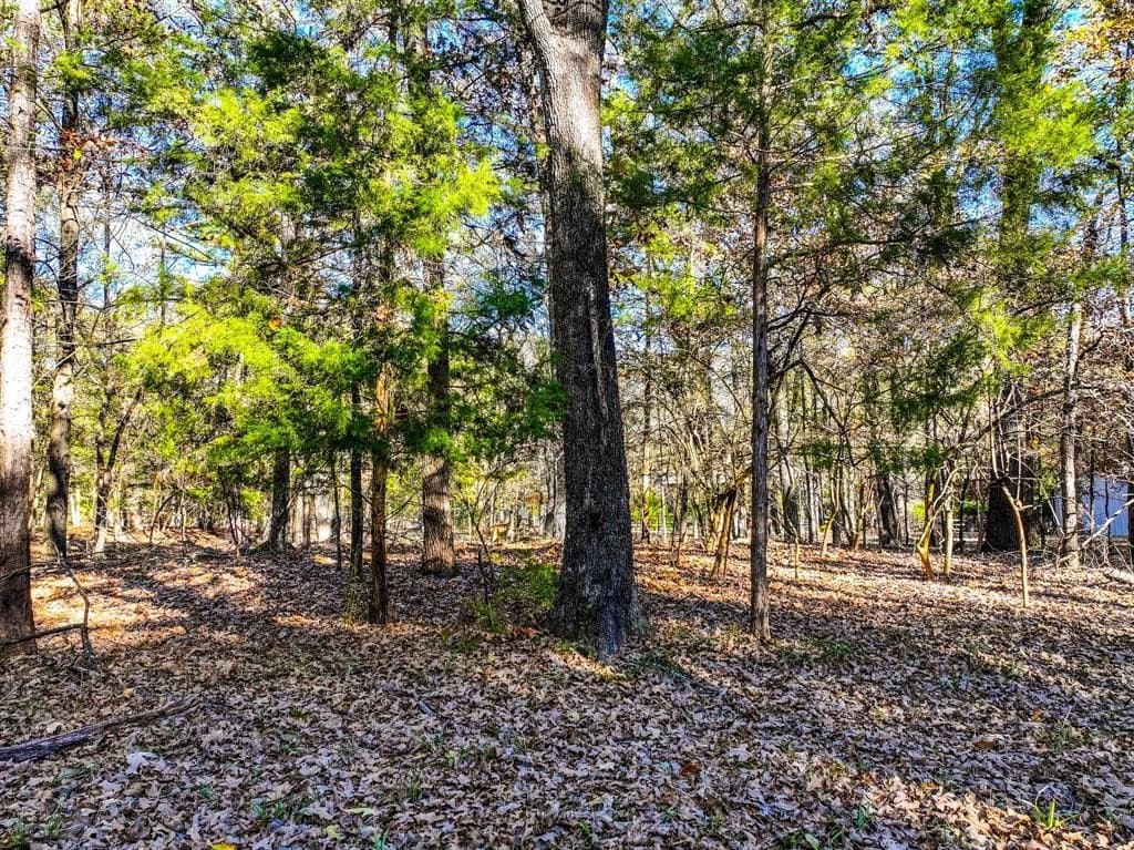0.21 acres in Franklin County - photo 23