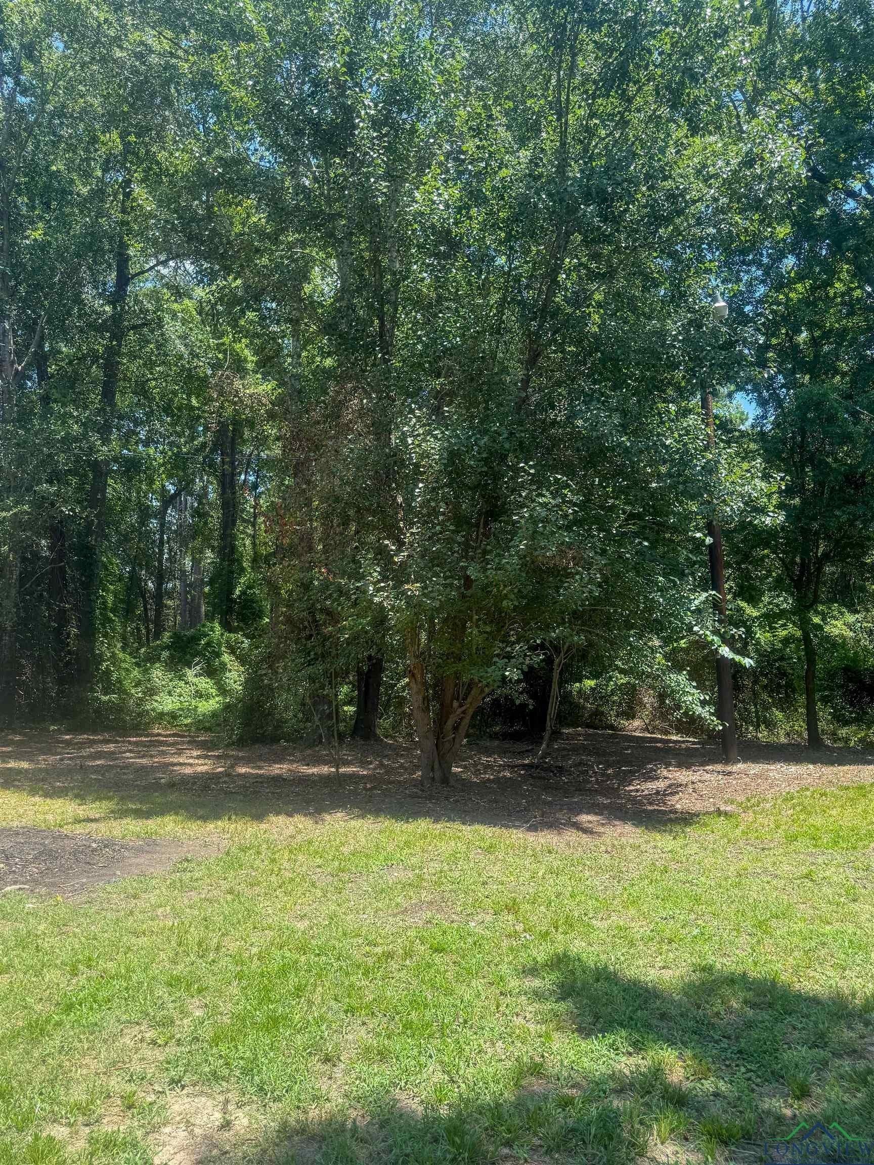 4 acres in Texas County - photo 8