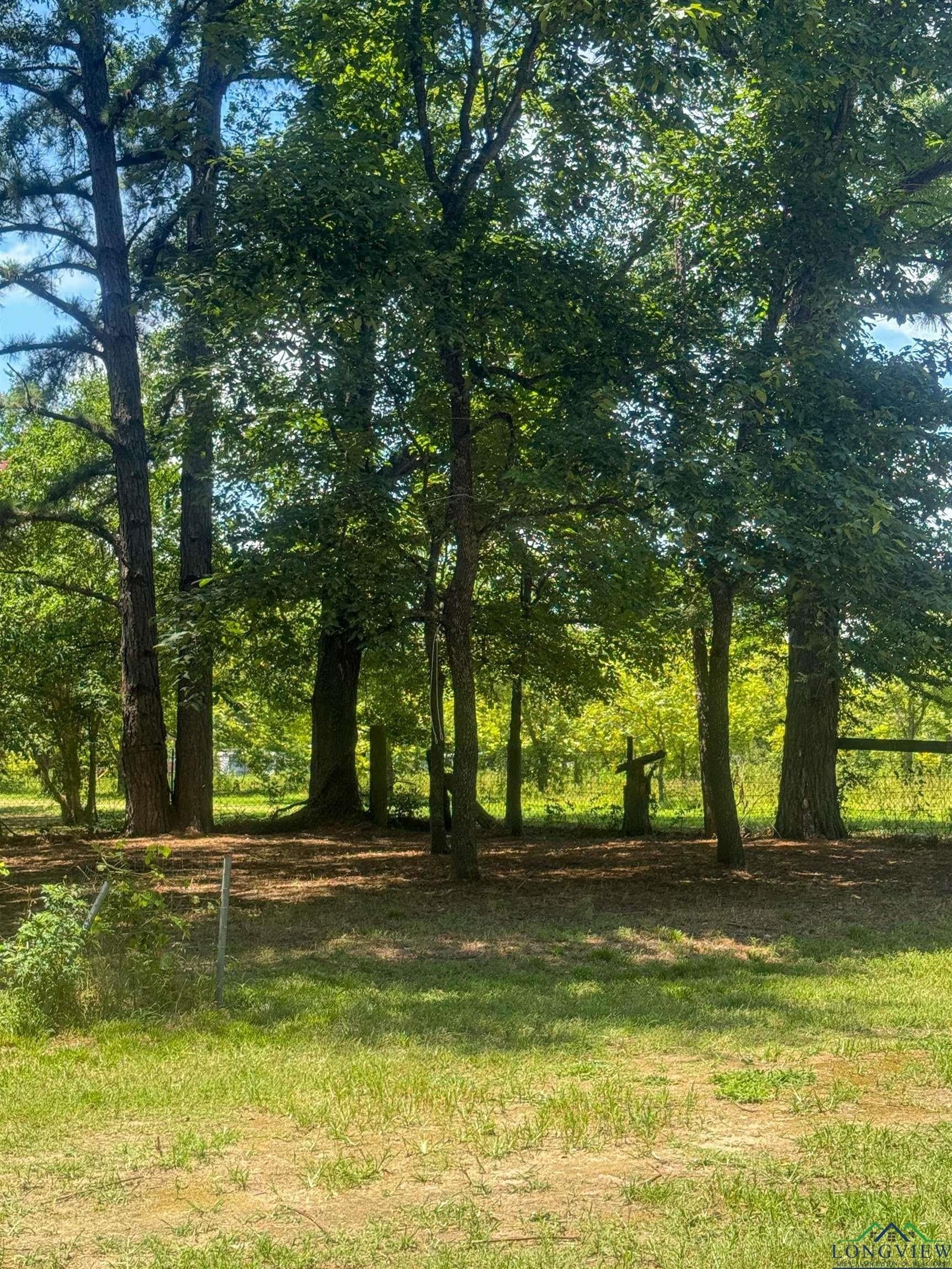 4 acres in Texas County - photo 7