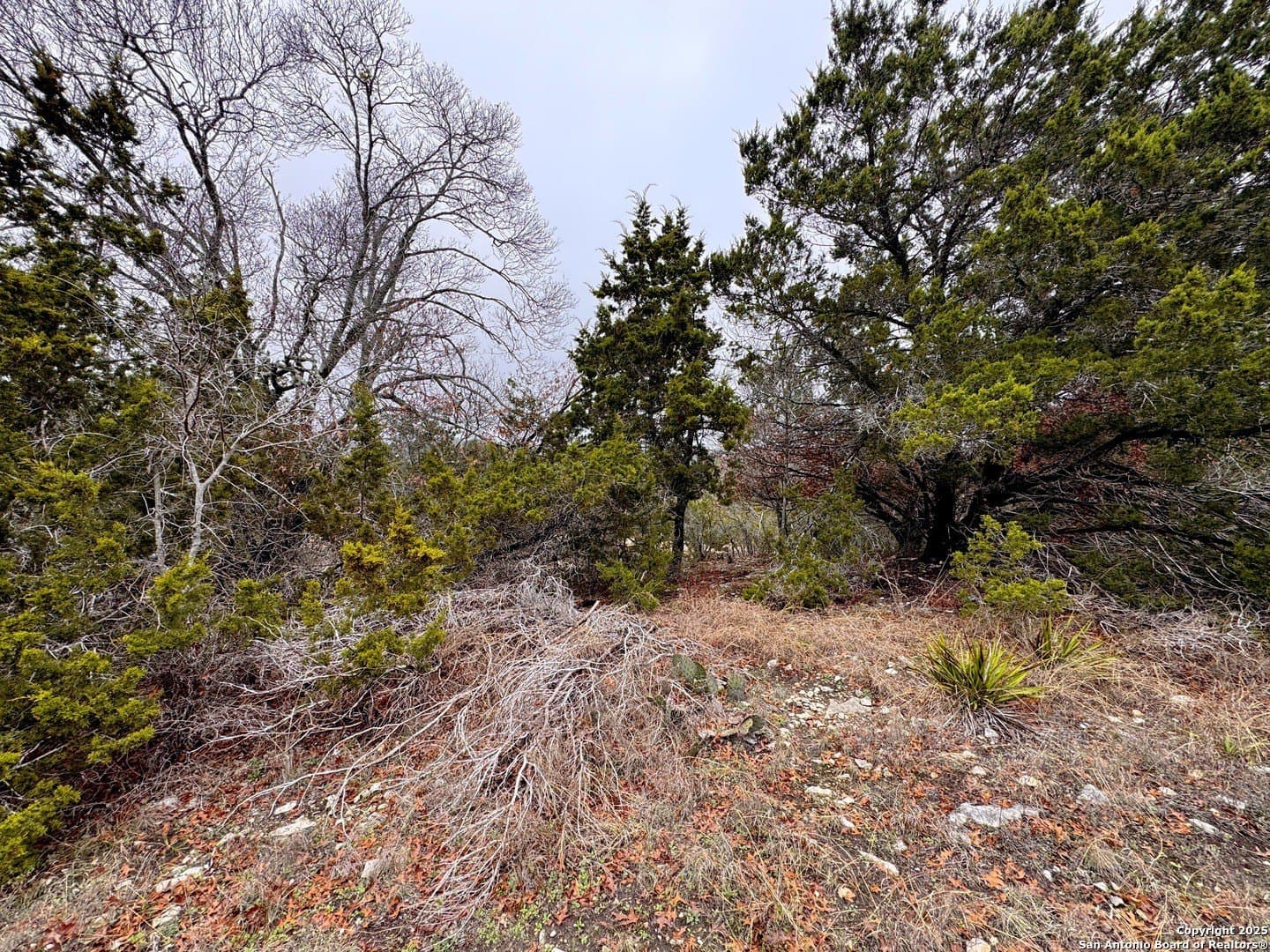 0.22 acres in Blanco County - photo 11