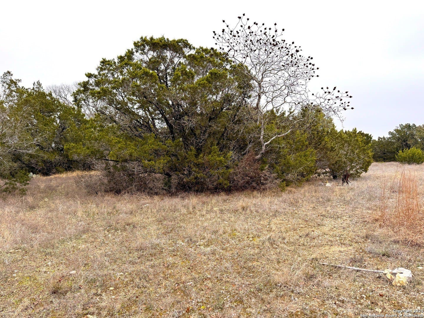0.22 acres in Blanco County - photo 9