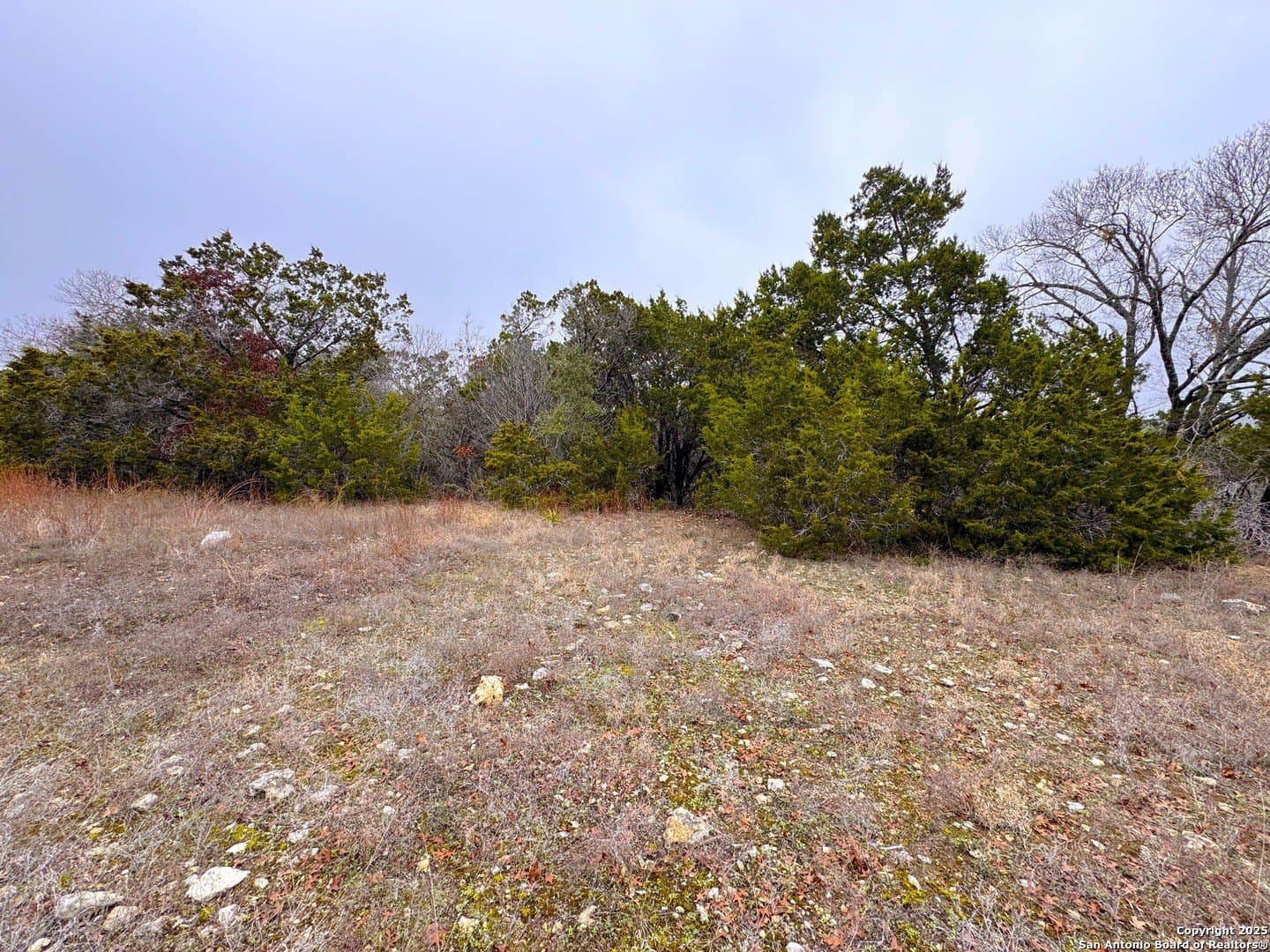 0.22 acres in Blanco County - photo 7