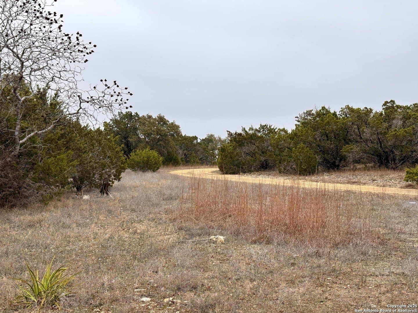 0.22 acres in Blanco County - photo 8