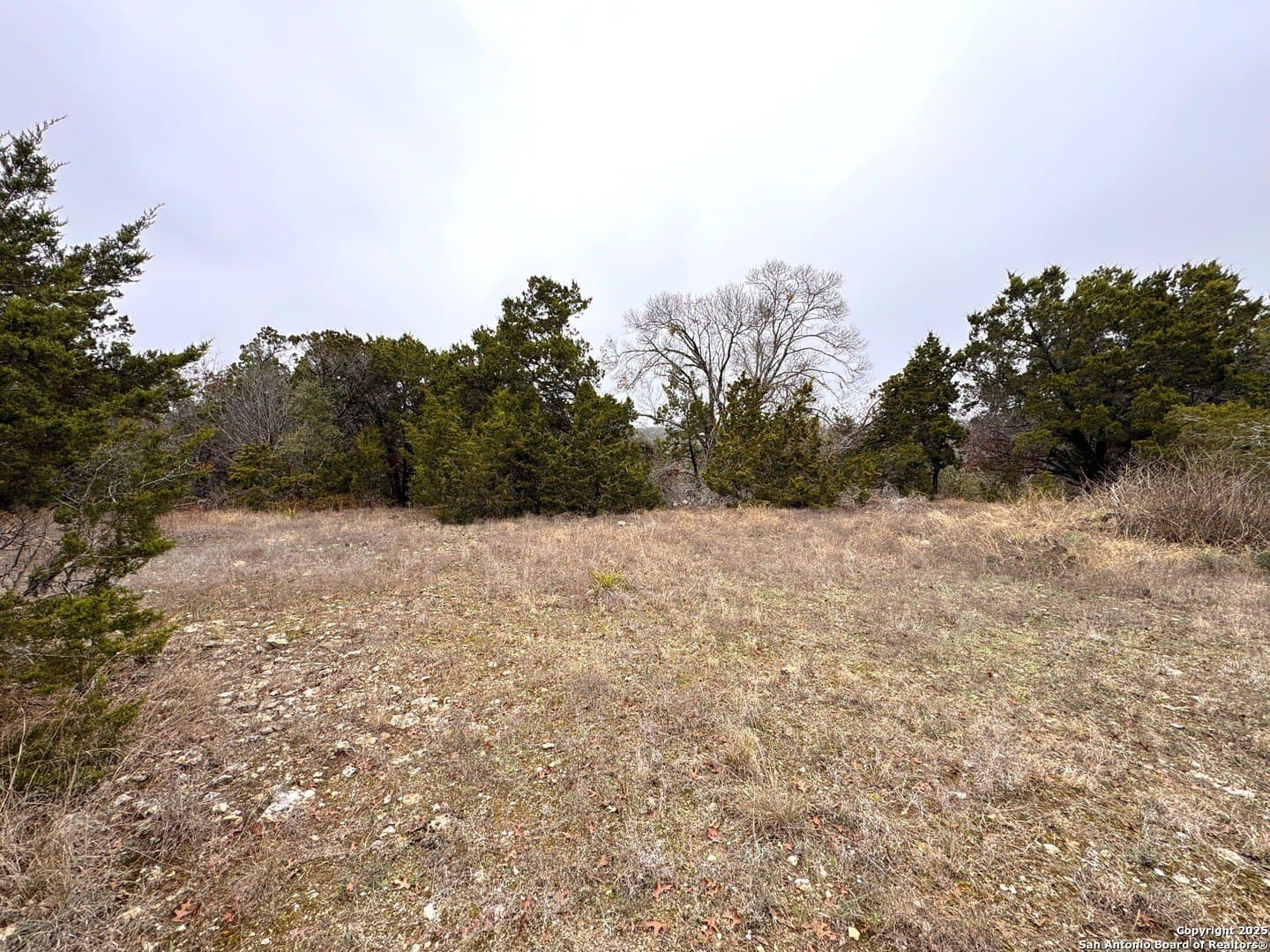 0.22 acres in Blanco County - photo 10