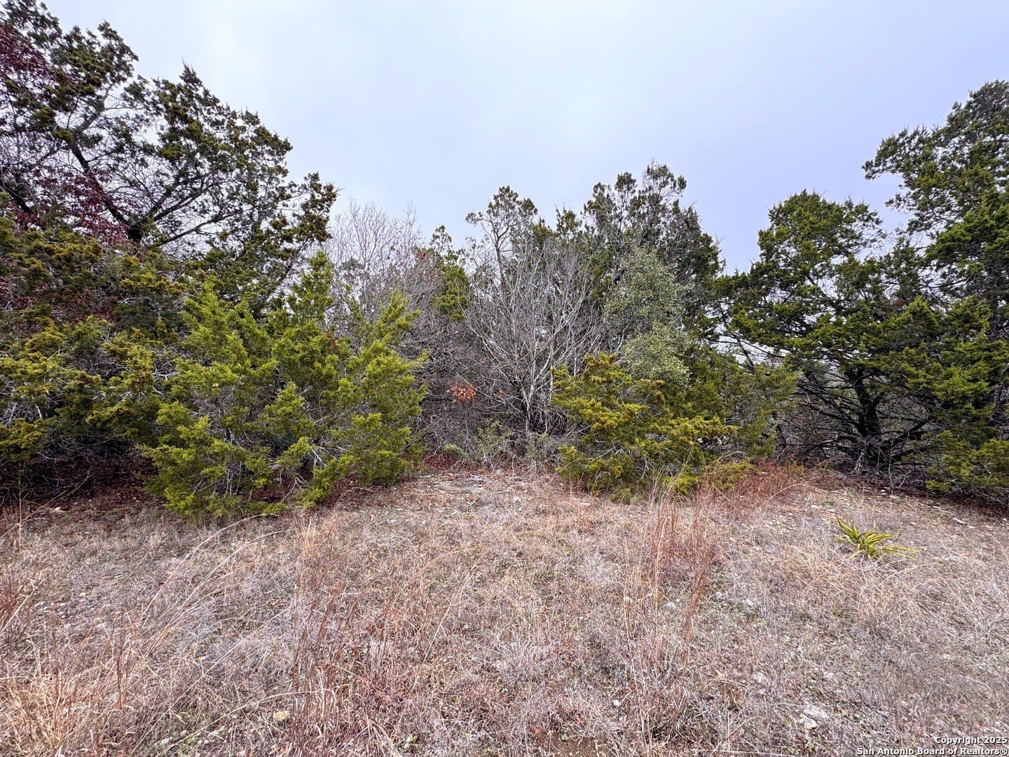 0.22 acres in Blanco County - photo 12