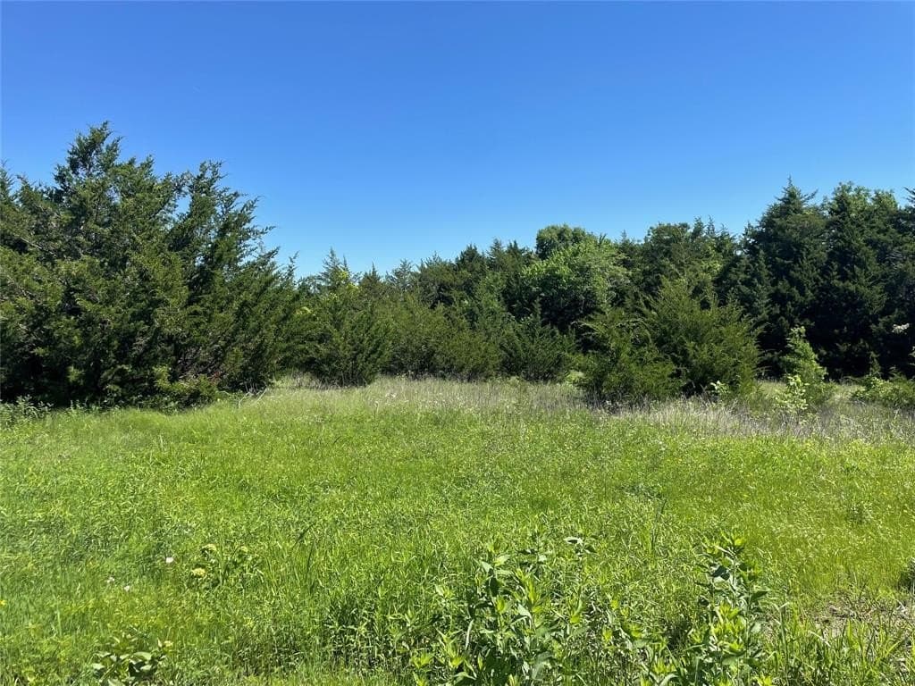 15.42 acres in Grayson County - photo 8