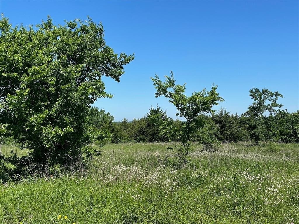 15.42 acres in Grayson County - photo 11