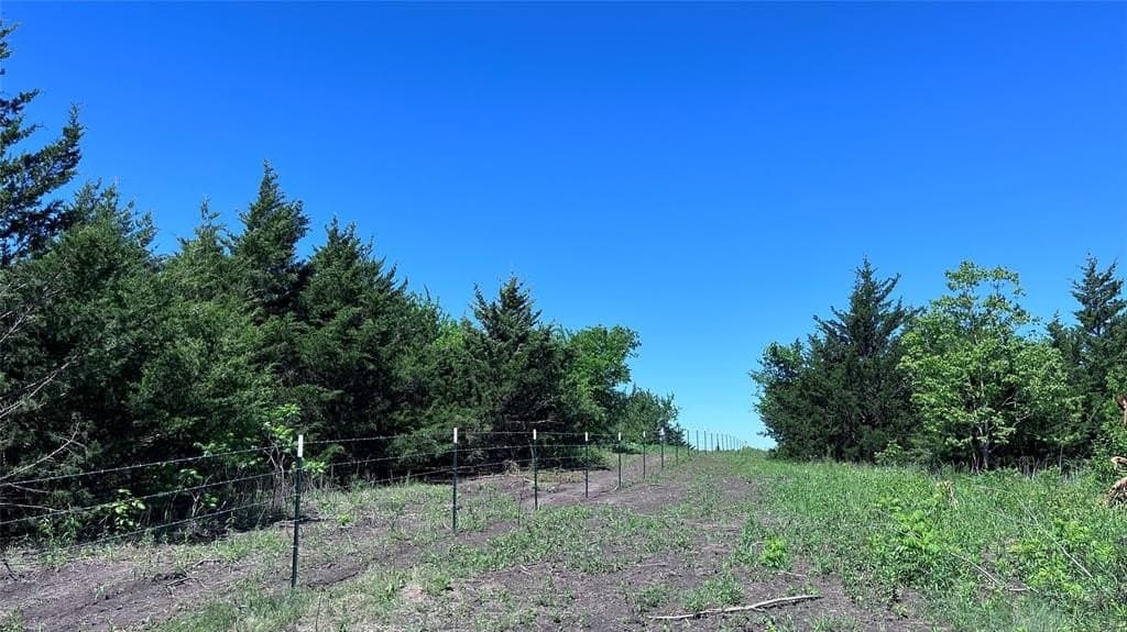 15.42 acres in Grayson County - photo 18