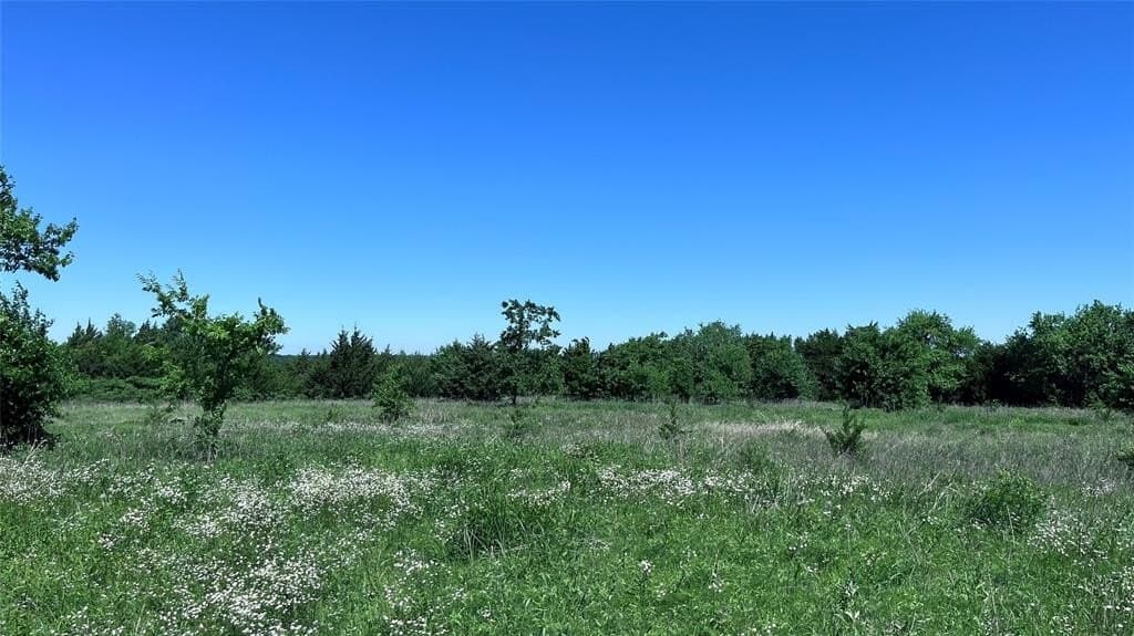 15.42 acres in Grayson County - photo 15
