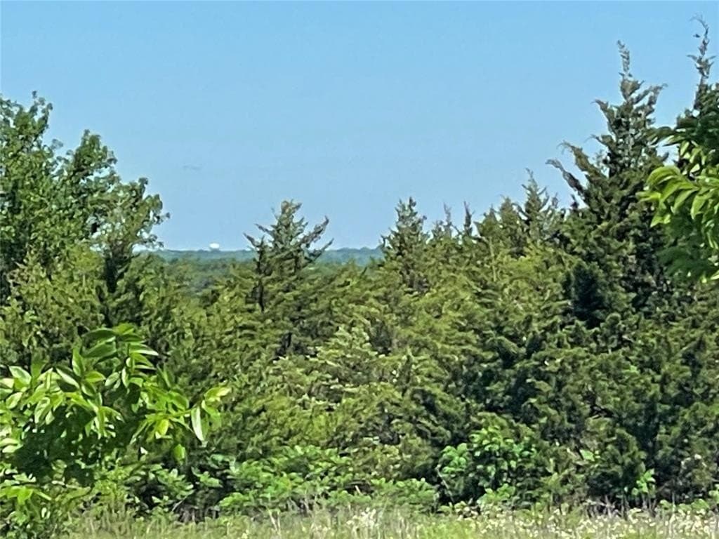 15.42 acres in Grayson County - photo 3