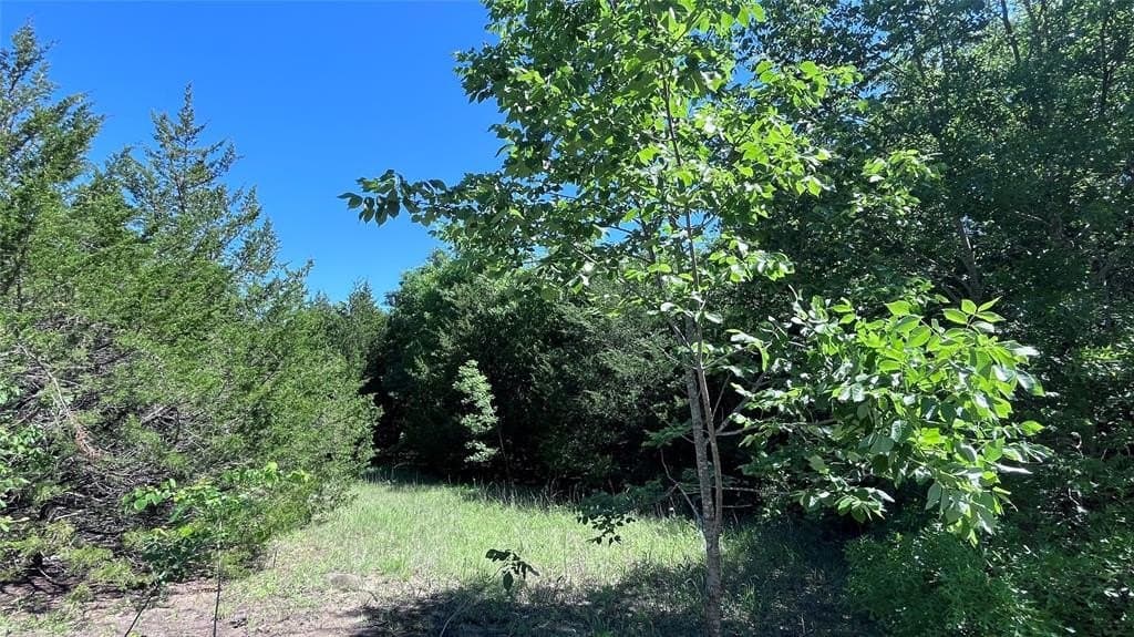 15.42 acres in Grayson County - photo 14