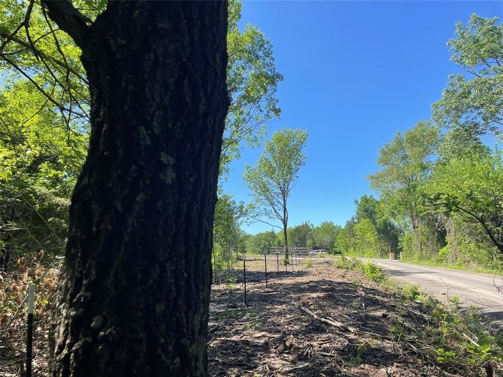 15.42 acres in Grayson County - photo 16