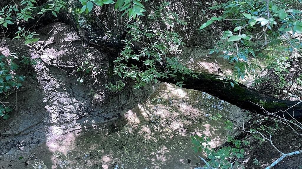 15.42 acres in Grayson County - photo 7