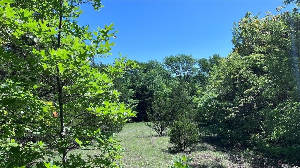 15.42 acres in Grayson County - photo 5