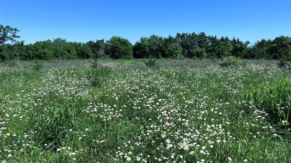 15.42 acres in Grayson County - photo 19