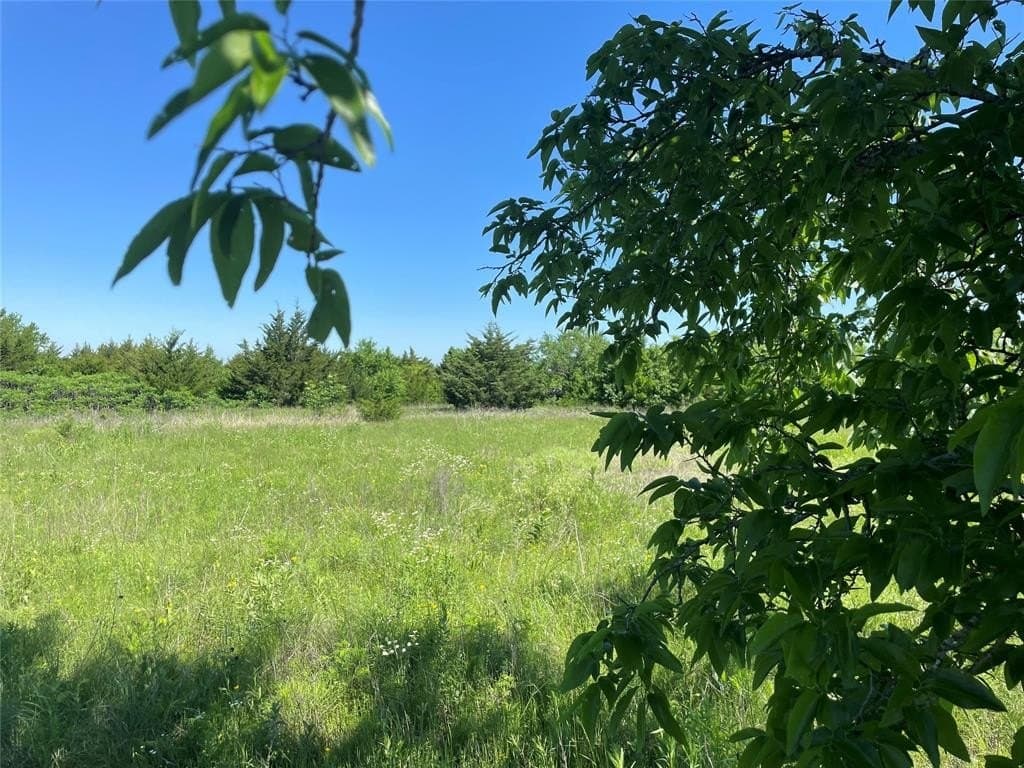 15.42 acres in Grayson County - photo 17