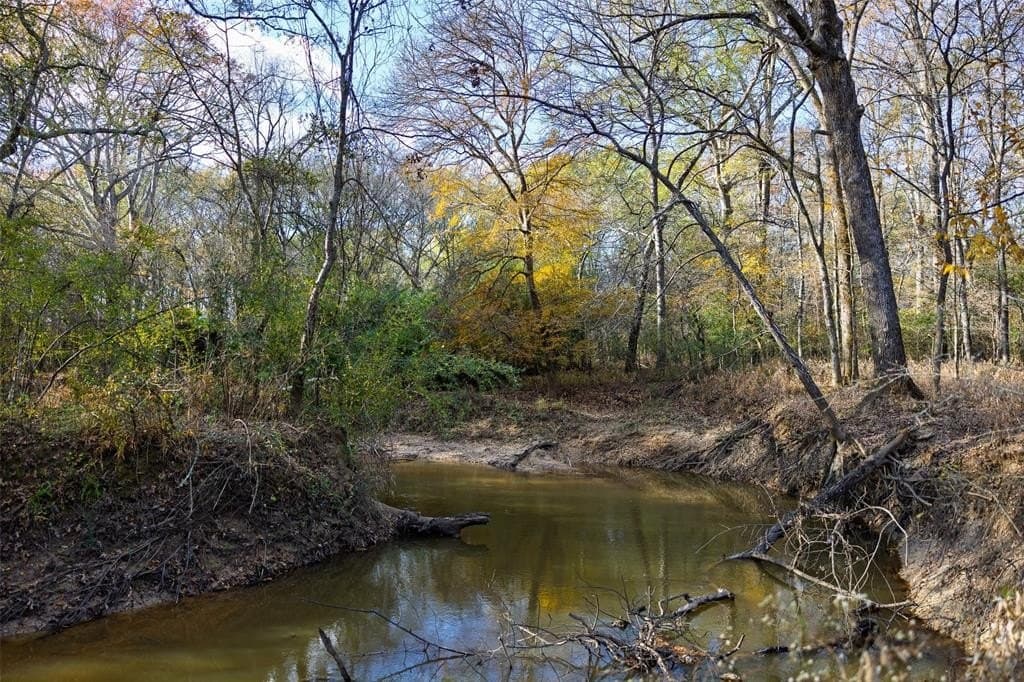 205.37 acres in Rusk County - photo 33
