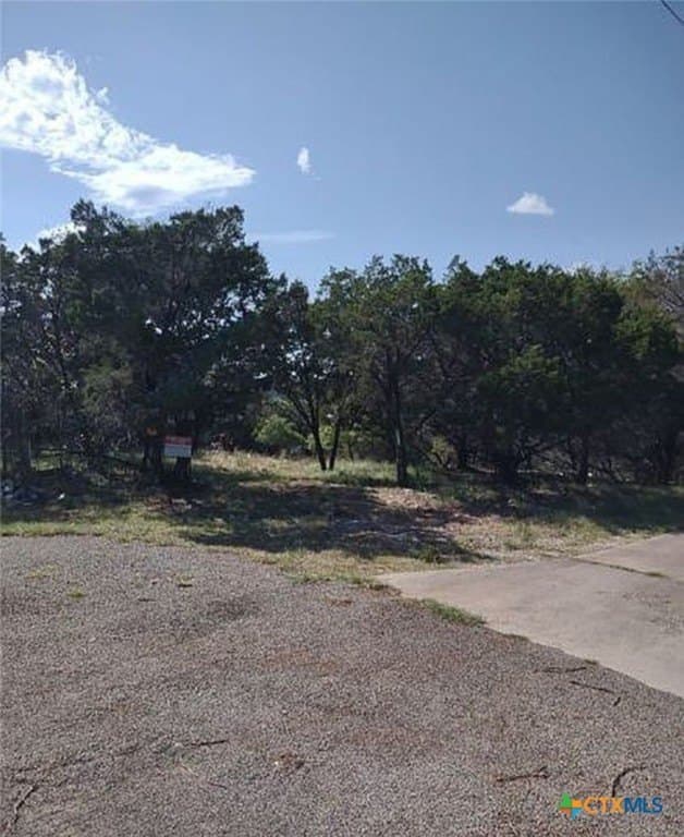 0.48 acres in Bell County - photo 3