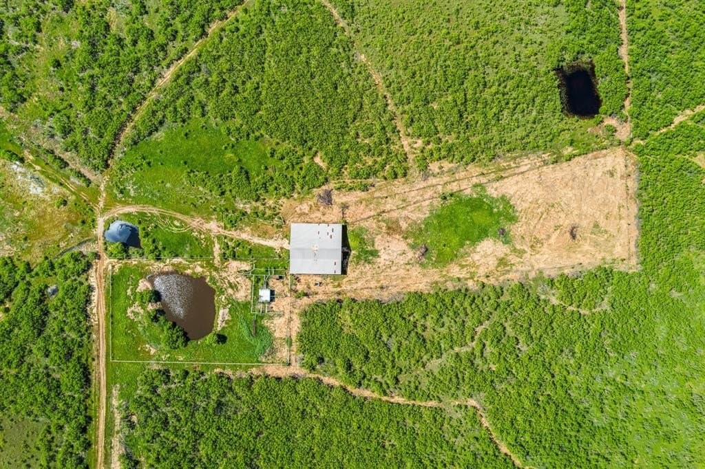 2,858 acres in Wichita County - photo 16