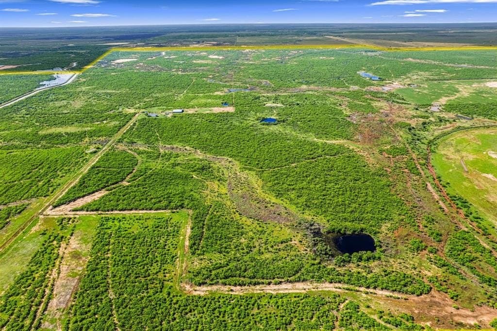 2,858 acres in Wichita County - photo 12