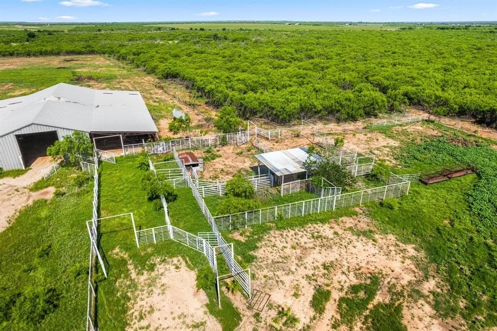 2,858 acres in Wichita County - photo 15