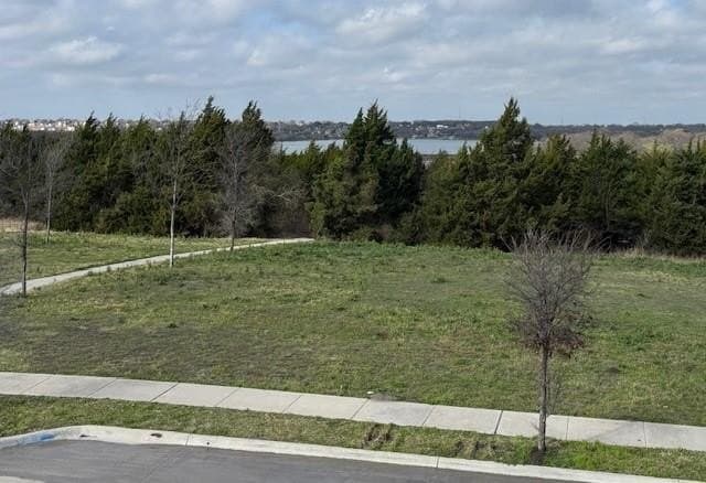 0.15 acres in Dallas County - photo 2