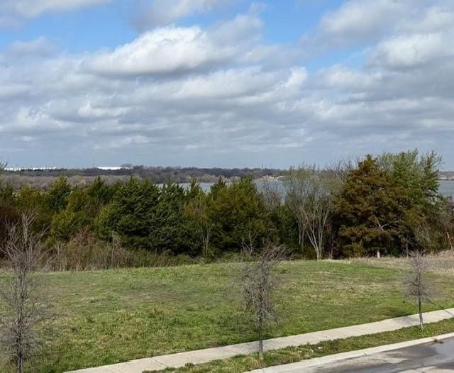 0.15 acres in Dallas County - photo 3