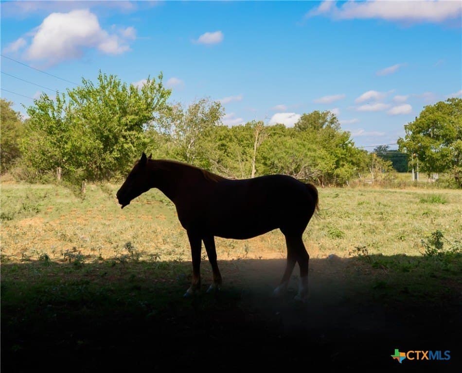 23.18 acres in Guadalupe County - photo 16