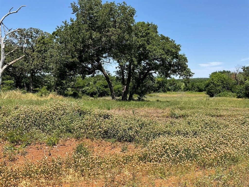 3.2 acres in Johnson County - photo 12