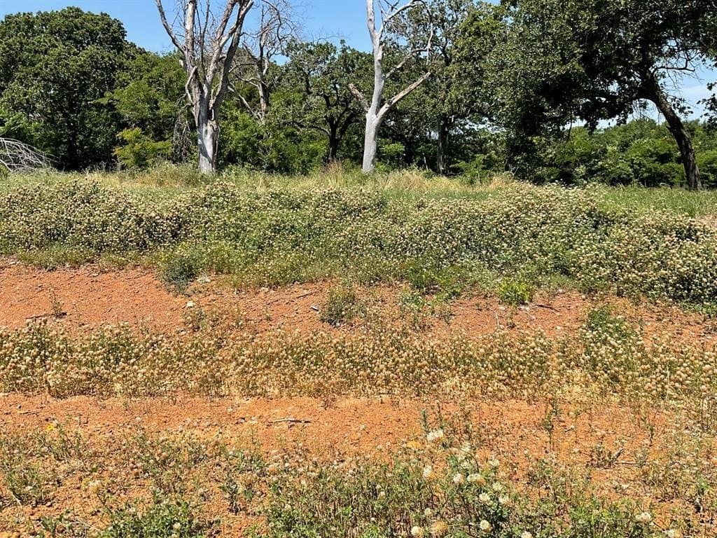3.2 acres in Johnson County - photo 11