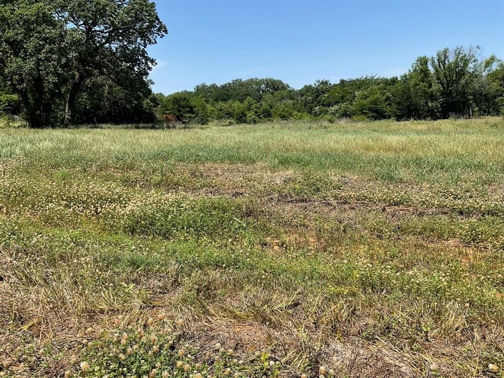 3.2 acres in Johnson County - photo 6