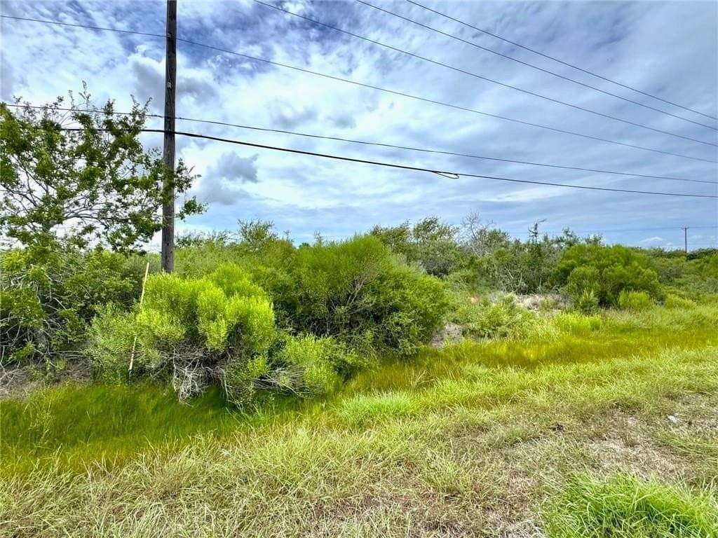 3.01 acres in San Patricio County - photo 4