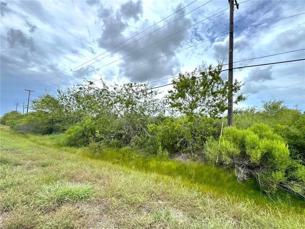 3.01 acres in San Patricio County - photo 3