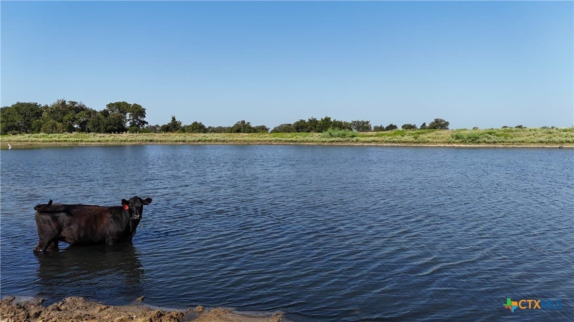 32.06 acres in Lee County - photo 11