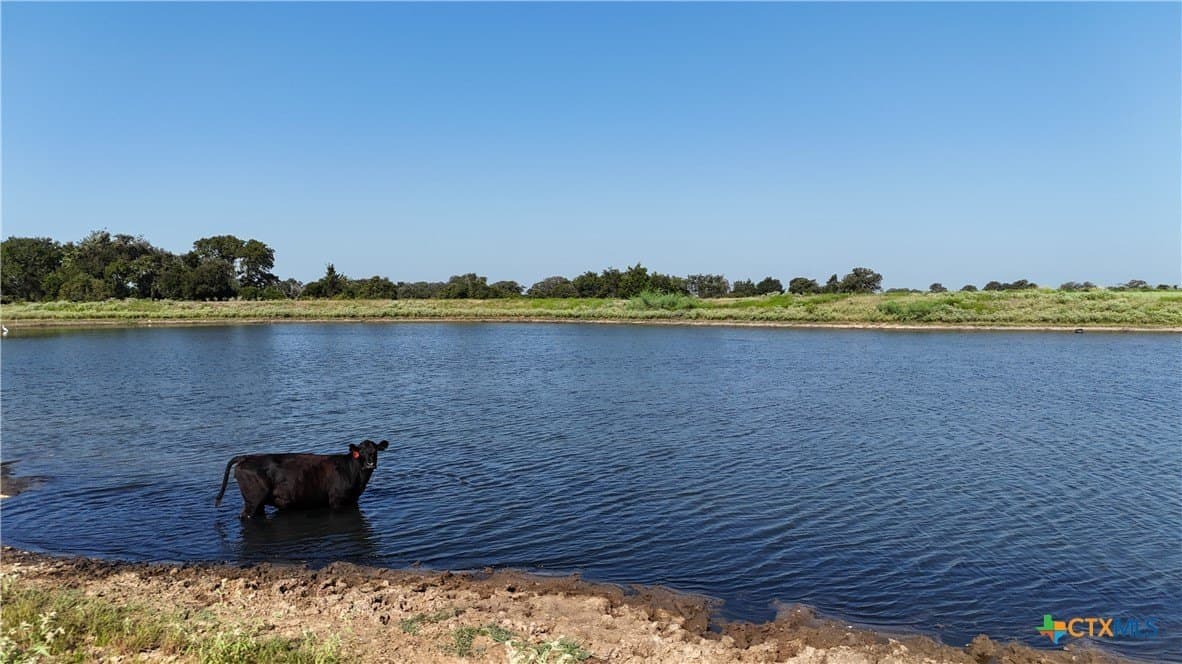 32.06 acres in Lee County - photo 10