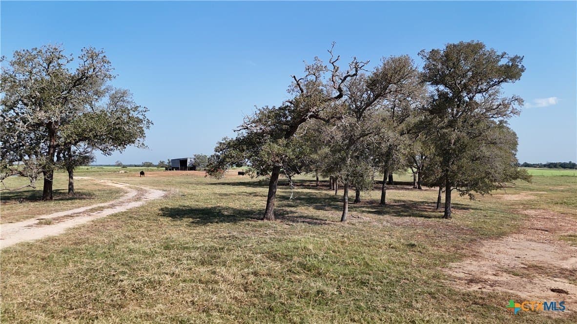 32.06 acres in Lee County - photo 16