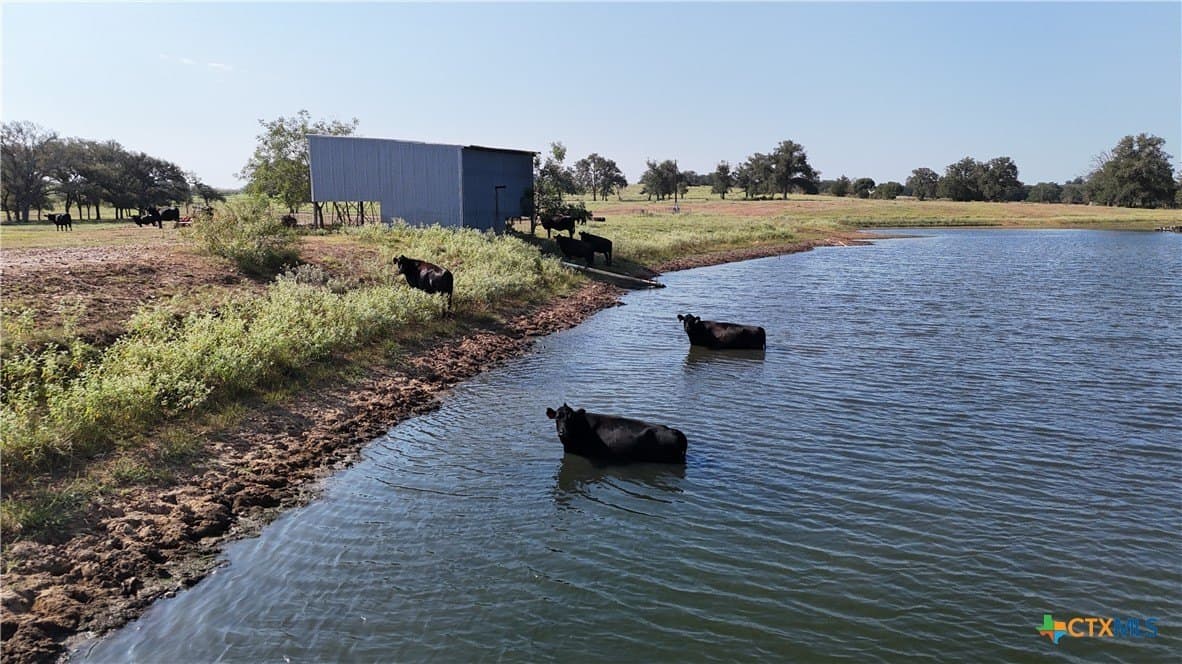 32.06 acres in Lee County - photo 7