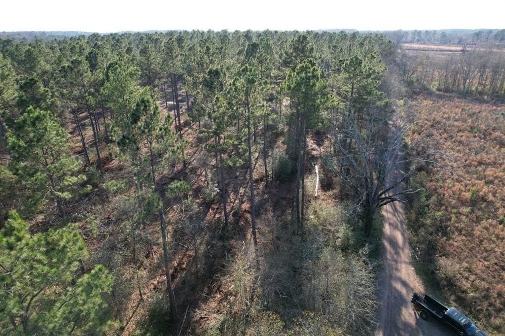 10 acres in Panola County - photo 7