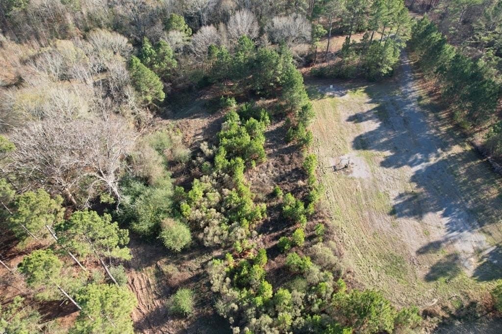 10 acres in Panola County - photo 5