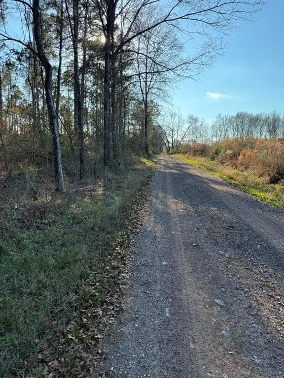 10 acres in Panola County - photo 8