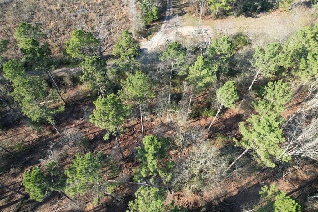 10 acres in Panola County - photo 6